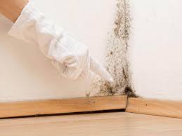 Best Black Mold Removal in Galax, VA